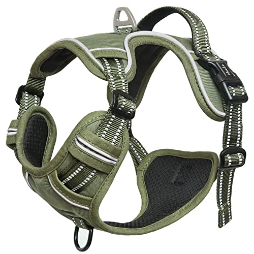 HEELE Animal Harness in XS, Green