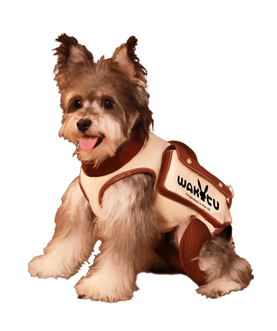 wakytu Animal Harness in Large(11-16 LBS), 1.0 White