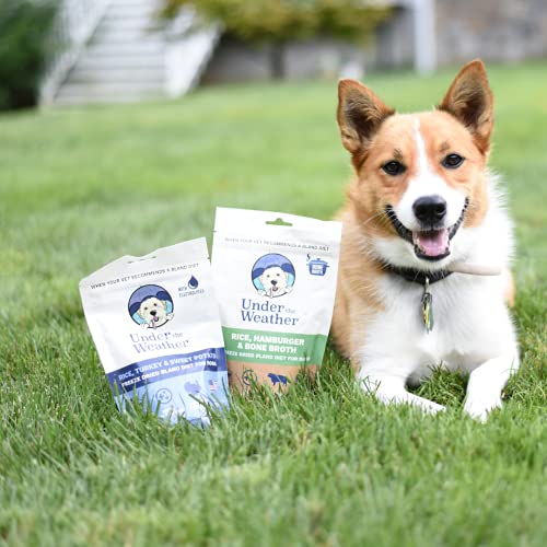 Under the Weather Pet Food in 6 Ounce (Pack of 6)