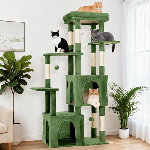 OUTLANE Pet Activity Structure in Green, Green