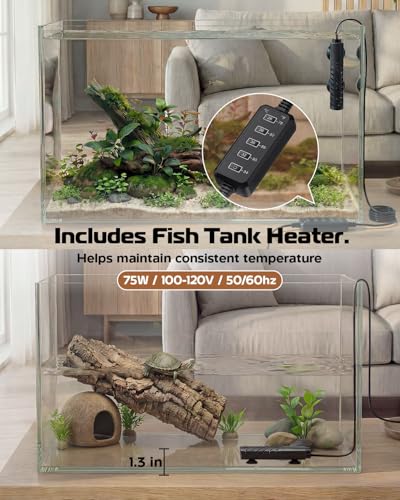 minilake Vivarium in 10 Gallon, Transparent