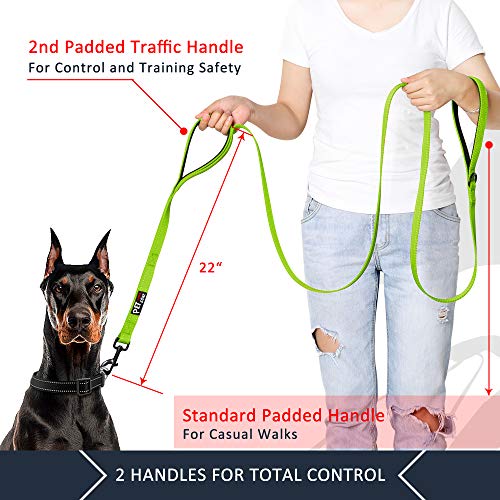 PLUTUS PET Leash in 6 FT, Green