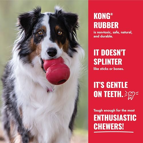 KONG Pet Toy in X Large, Red