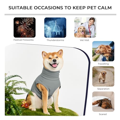 Haloumoning Pet Apparel in X-Small, Grey
