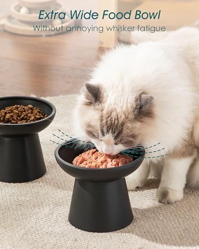 vancasso Pet Feeder in Black