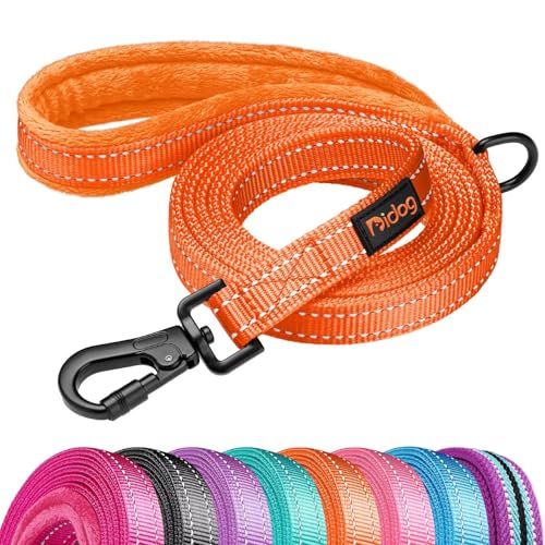 Didog Leash in 3/4''x 6 FT, Orange
