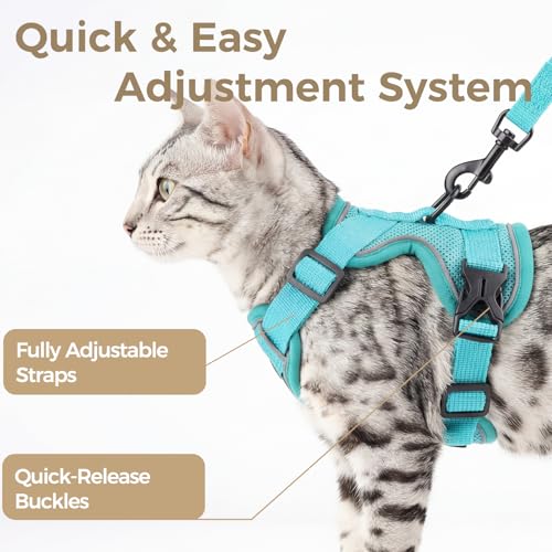 pangdi Animal Harness in Small, Turquoise