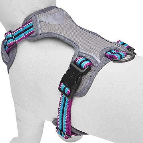 Blueberry Pet Animal Harness in Small, Violet and Celeste