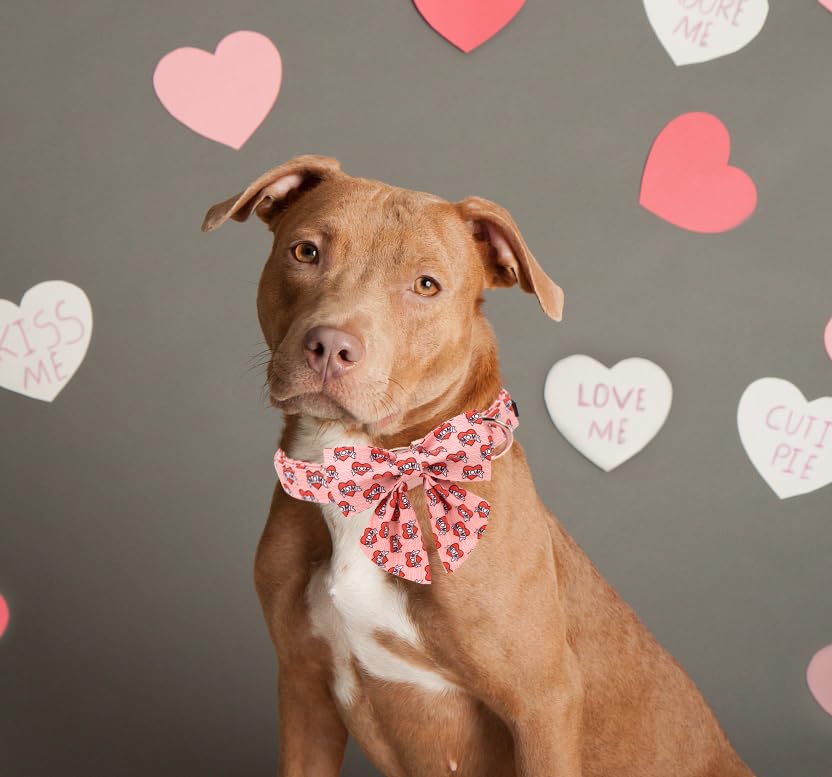 Unique style paws Animal Collar in XS, mom love-bowtie