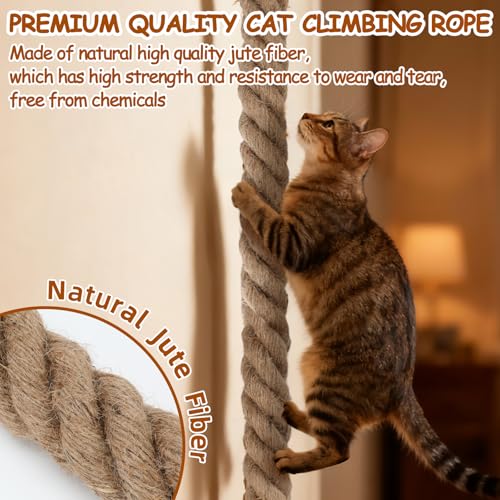 Lonepetu Pet Activity Structure in 59 IN(1.5M), brown