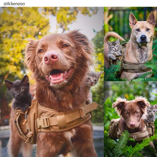 ONETIGRIS Pet Supplies in Small, Brown