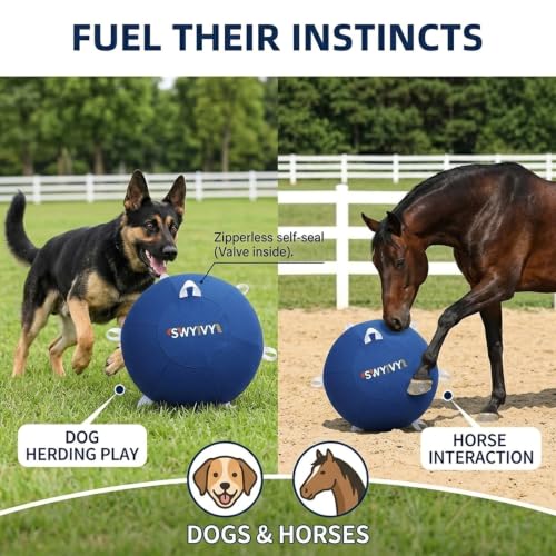 SWYIVY Recreation Ball in 25 Inch, Blue with Cover