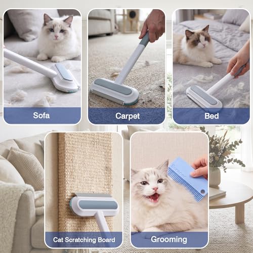 Finvizo Pet Supplies in One Size, Blue