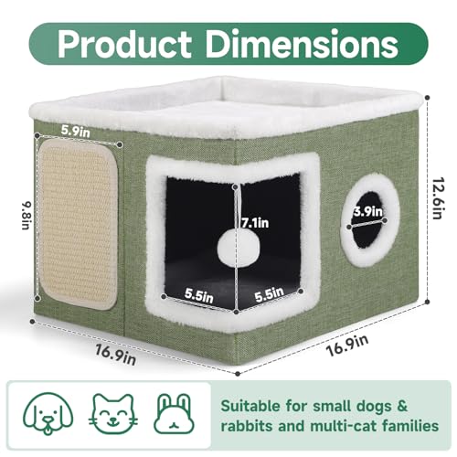 Shikha Animal Shelter in Large, Green
