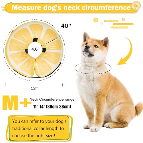 Cneo Animal Recovery Collar Cone in M+（neck 11"-14"）, Lemon