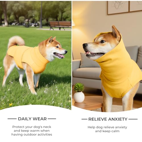 Haloumoning Pet Apparel in X-Small, Orange