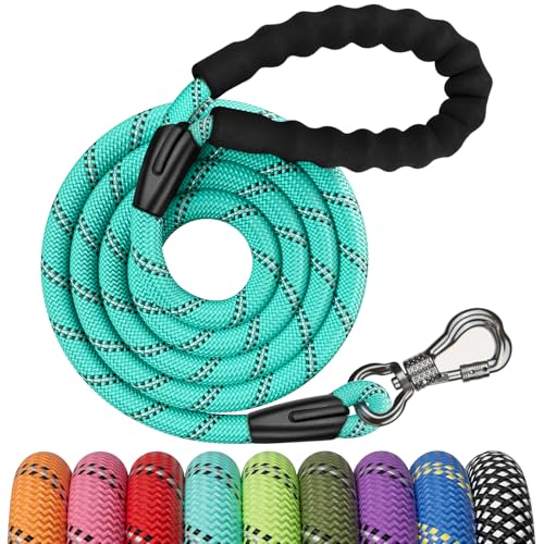 NTR Leash in 8ft*1/2", Teal
