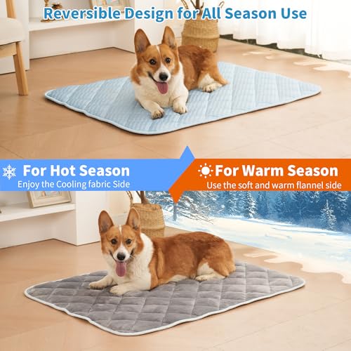 Petvolve Pet Bed Mat in X-Large - 44 x 32 Inch, Sky Blue