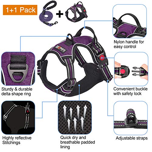 tobeDRI Animal Harness in Medium, Purple