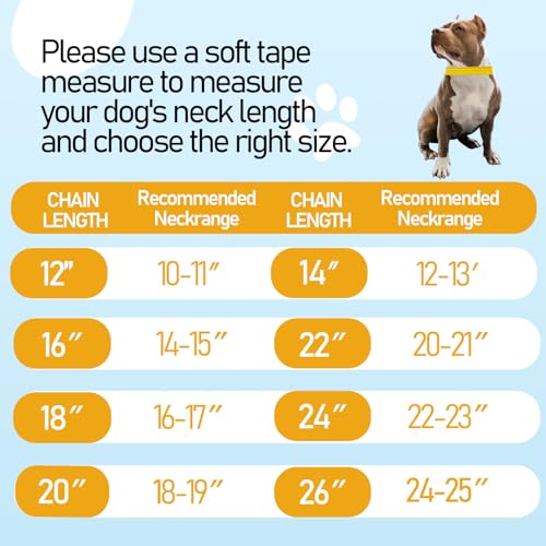 BAOBOTE Animal Collar in 12"(for 10"-11" Neck), Gold