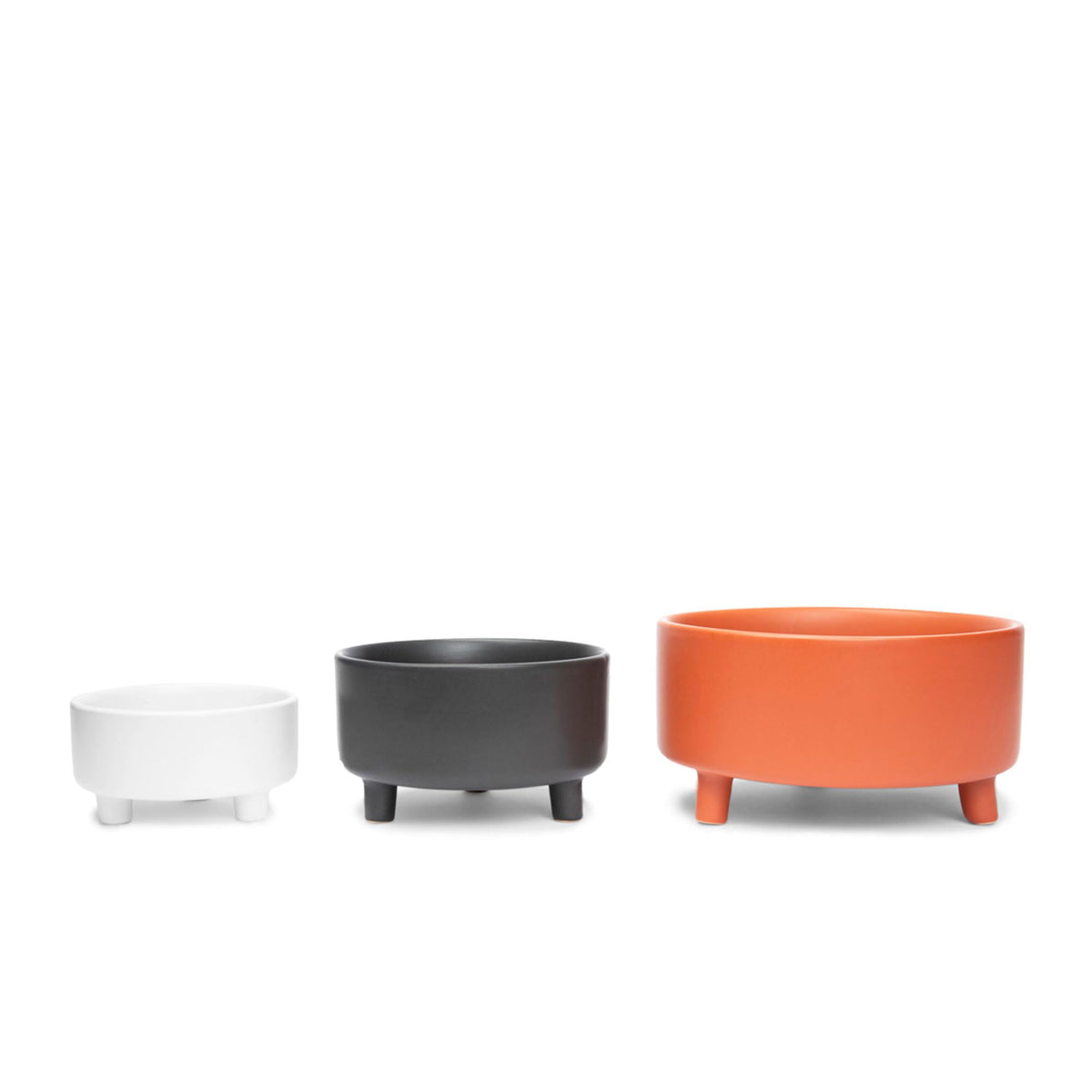 Waggo Pet Feeder in Medium(2-Pack), Black