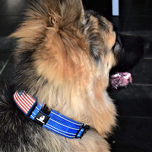 DEZIZEUSK9 Animal Collar in 16-25 INCH, BLACK-COBVEL2