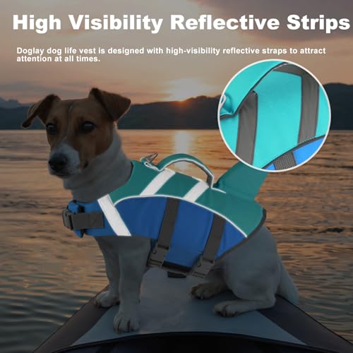 Doglay Pet Apparel in X-small, Blue+Aquagreen