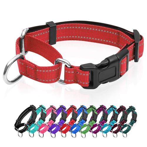 GDLKPS Animal Collar in XS:3/4" Wide for 11.5"-13.5" Neck, Red