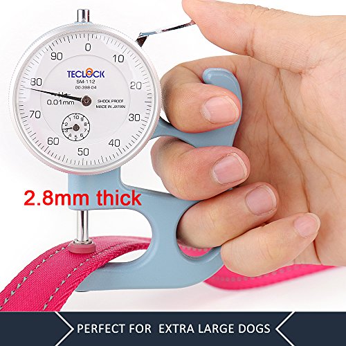 PLUTUS PET Leash in 4 FT, Pink