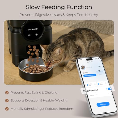 Chloraeon Pet Feeder in Black