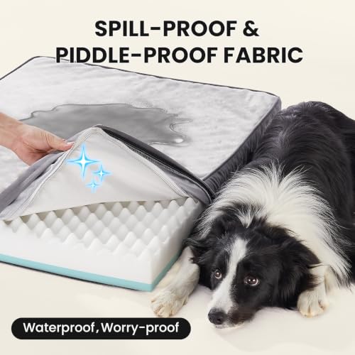 OhGeni Pet Bed Mat in 35" x 22" x 3.5" (For Crate), 01-Gray