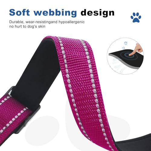 GDLKPS Animal Collar in XS:3/4" Wide for 11.5"-13.5" Neck, Rose Red
