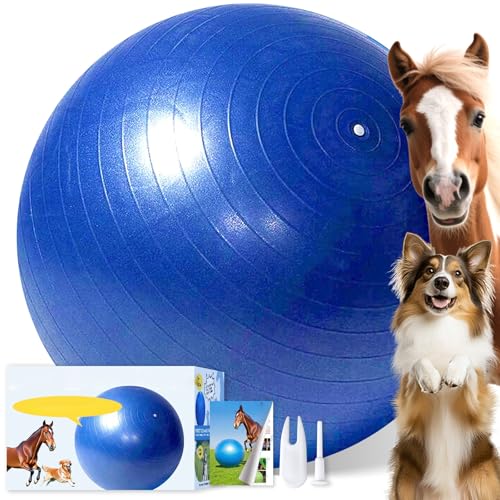 SWYIVY Recreation Ball in 40 Inch, Blue