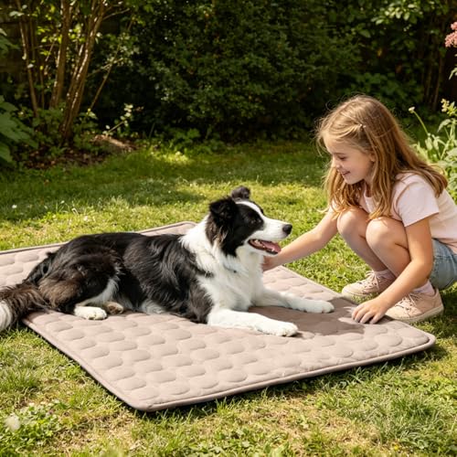 MeiLiMiYu Pet Bed Mat in 28x22 in, Coffee