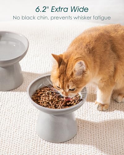 vancasso Pet Feeder in 2 Pack-Food & Water Bowls, Grey