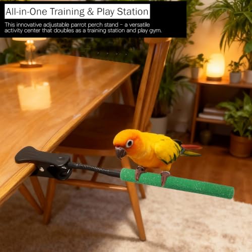 qumHmup Animal Perch in Small To Medium, 02-Parrot Perch Stand