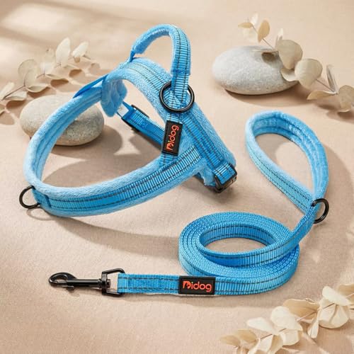 Didog Leash in 5/8''x 6 FT, Blue