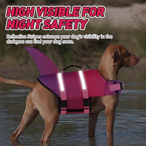 Doglay Pet Apparel in X-large, Gradient Pink Purple
