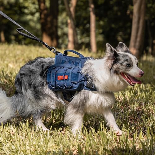 ONETIGRIS Pet Supplies in Medium, Blue