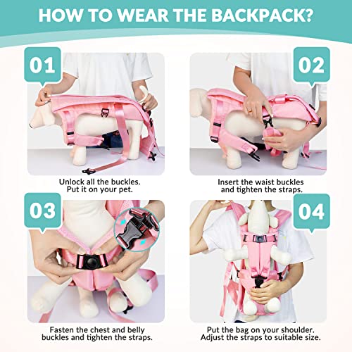 Lukovee Animal Carrier in 15.1"L x 11.7"W x 2.7"H, Pink
