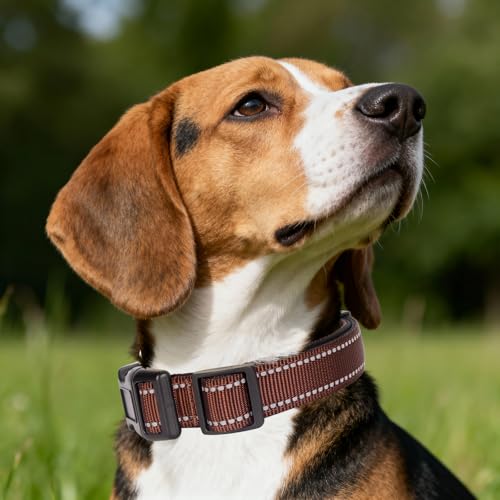 GDLKPS Animal Collar in XS:3/4" Wide for 11.5"-13.5" Neck, Coffee