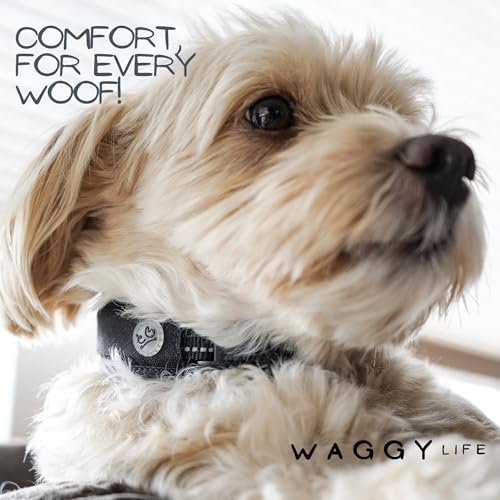 WaggyLife Animal Collar in XS (11.8"-13.8"), Black