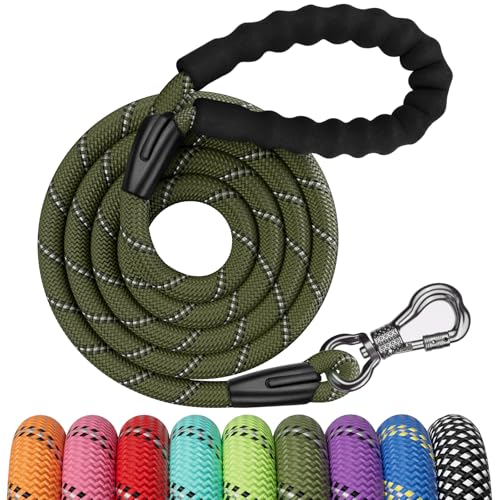 NTR Leash in 6ft*1/2", Olive