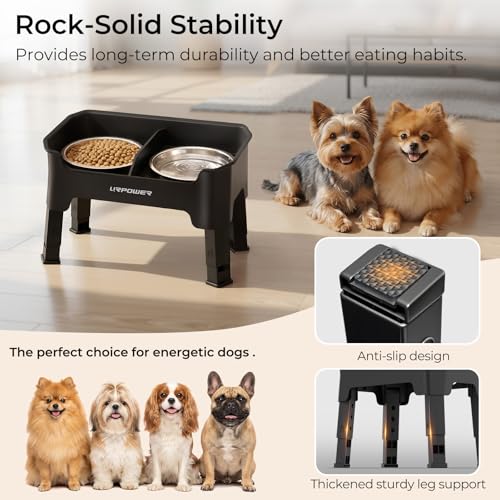 URPOWER Pet Feeder in Small, Matte Black