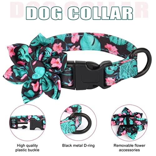 Beirui Animal Harness in XXS:Fit 2-6 lbs, Blue