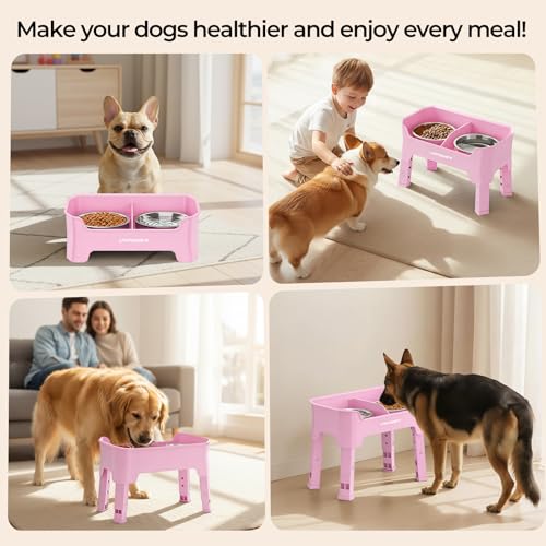 URPOWER Pet Feeder in Medium, Pink