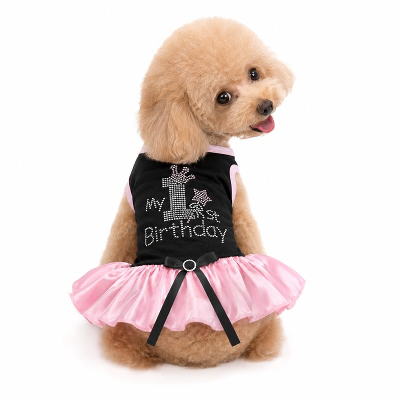 Petitebella Pet Apparel in X-Small, Black/Pink
