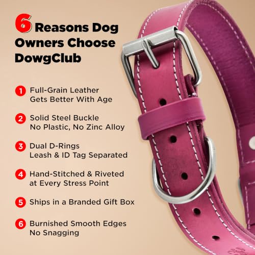 DowgClub Animal Collar in S (11"-14"), Pink