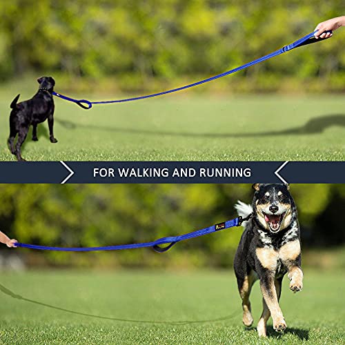PLUTUS PET Leash in 4 FT, Navy Blue
