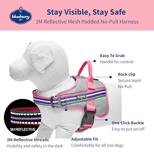 Blueberry Pet Animal Harness in Emerald,Orchid and Pink